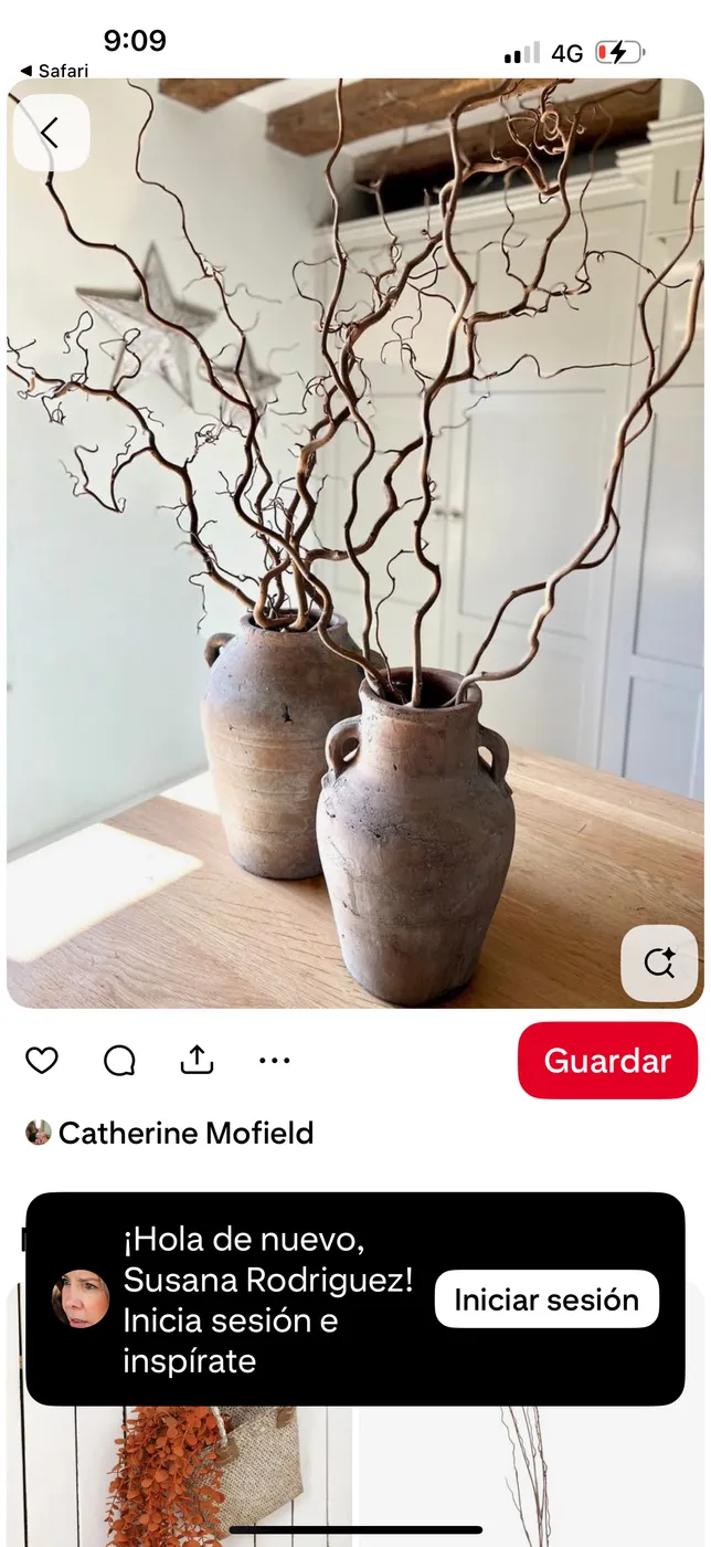 Set de 2 jarrones decorativos de cerámica con ramas secas
